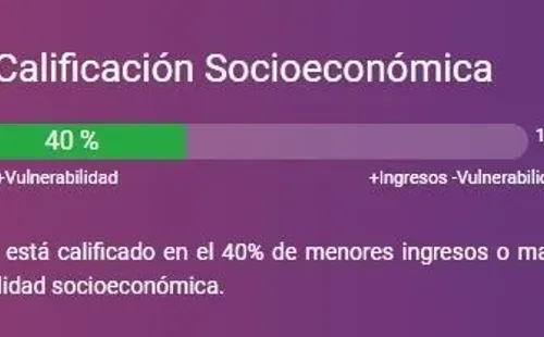 Ejemplo tramo Registro Social de Hogares