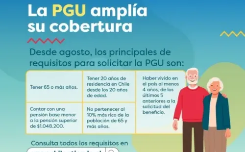 Requisitos PGU