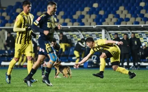 Un perro se metió al terreno de juego en el Vial-U. de Conce y ocupó el arco de baño. (Foto: Agencia UNO)