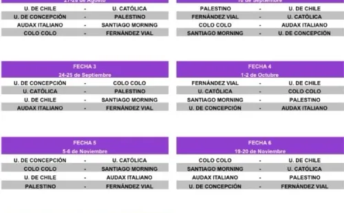 Así quedó programado el grupo A del torneo femenino. (ANFP)