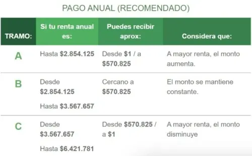 Subsidio al Empleo Joven
