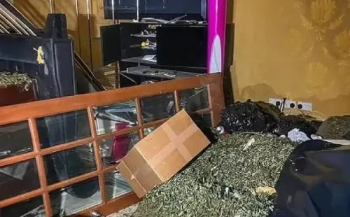 Así estaba la mansión de Jermaine Pennant, llena de marihuana. | Foto: Lukka Venture