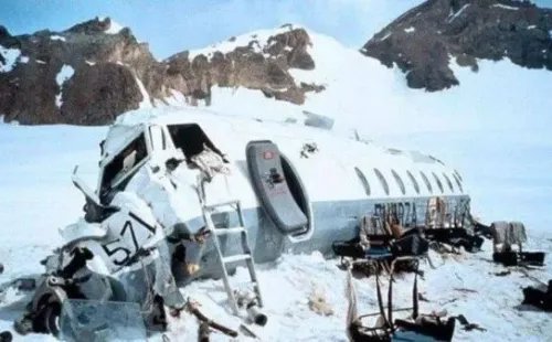 El avión