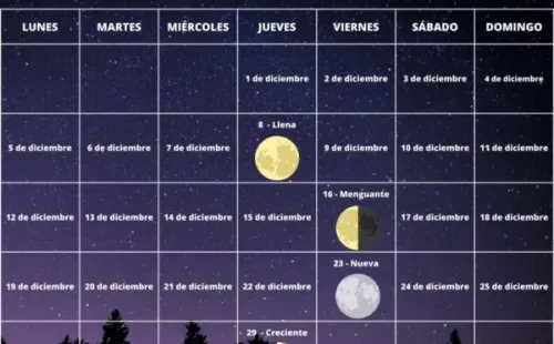 Calendario lunar noviembre