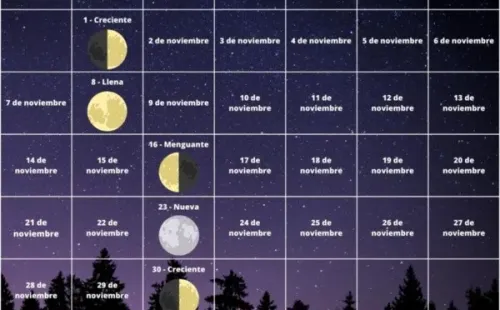 Calendario lunar noviembre 2022