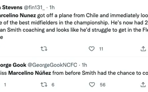 Las críticas al DT de Marcelino en el Norwich City