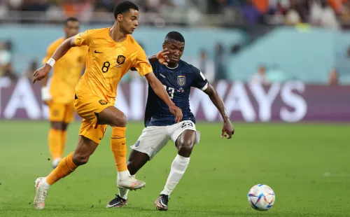 Gakpo pone en ventaja a Países Bajos con golazo a Galíndez en Ecuador.