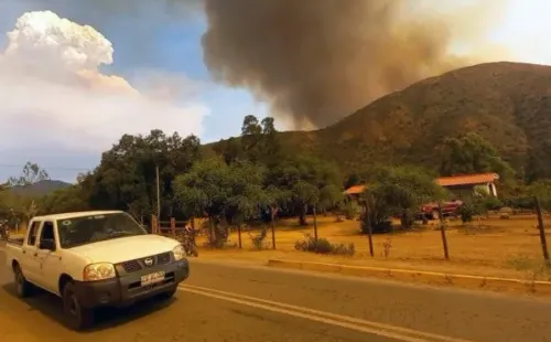 Incendio en Colliguay, Quilpué, ya ha consumido más de 700 hectáreas. (Foto: Agencia Uno)