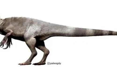 Modelamiento del megarraptórido descubierto recientemente