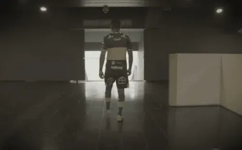 Luis Montes, el nuevo refuerzo de Everton de Viña del Mar. (Captura).