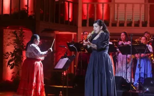 Festival de Olmué se impone en el rating.(Foto: TVN)