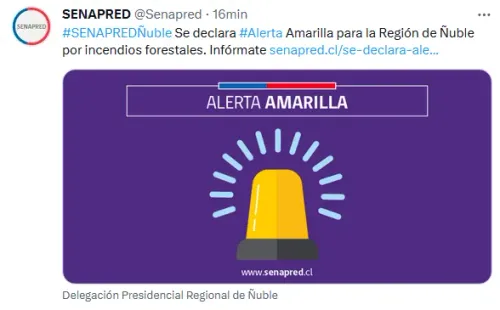 Twitter: Senapred