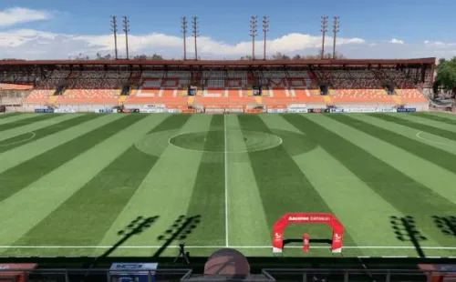 El espectacular césped del estadio Zorros del Desierto.