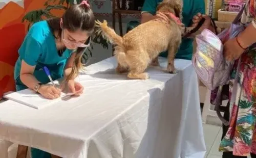 Atención Veterinaria gratuita