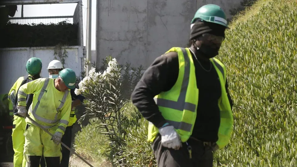 Montos y quiénes reciben el Bono por la Formalización del Trabajo
