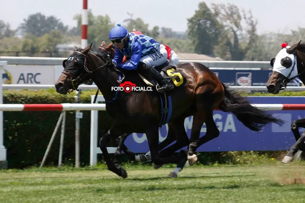 La ganadora Siete de Abril: realmente era Entera Good, de propiedad de Kike Morandé | Fotooficial.cl