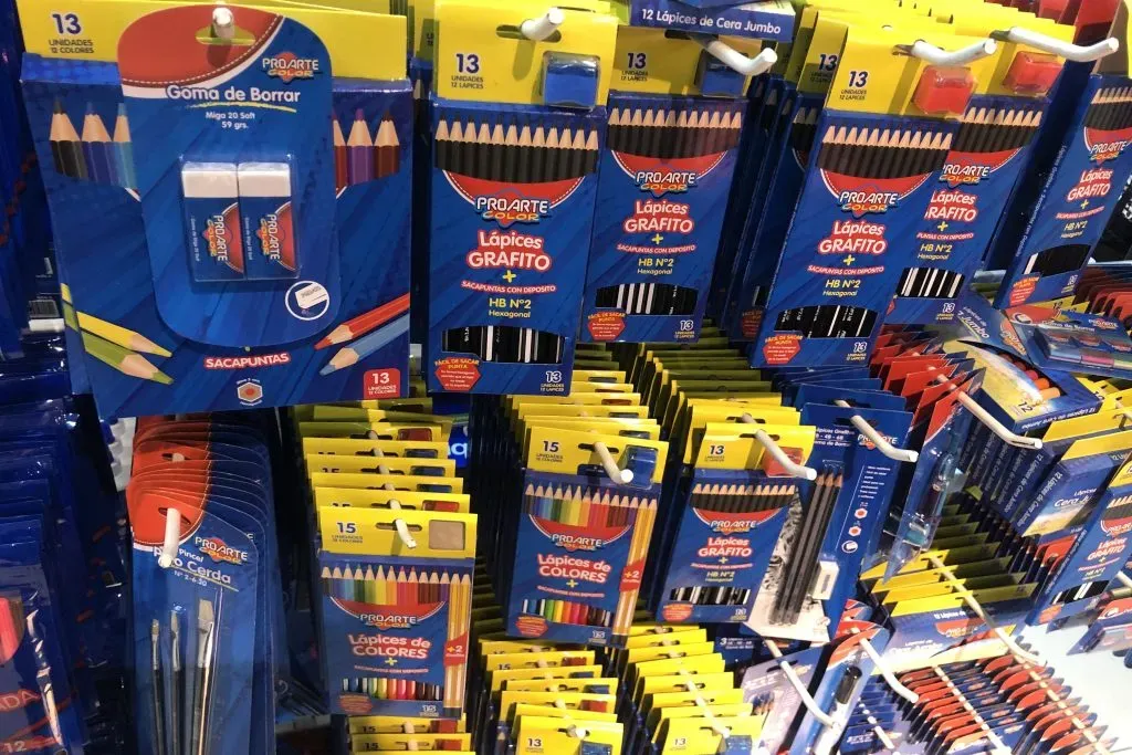 Imagen: Dragomir Yankovic/Aton Chile