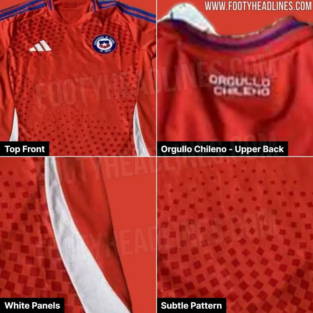 El detalle de la camiseta de la Roja