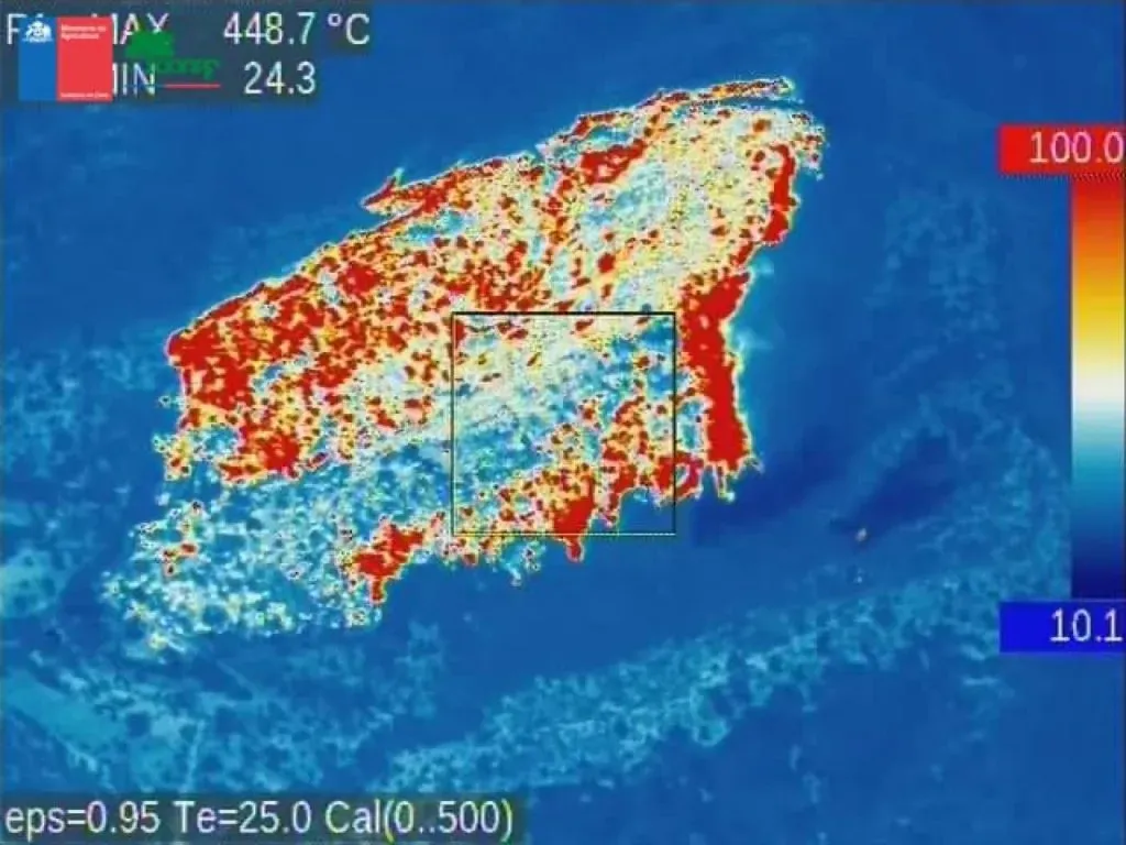Nuevo incendio forestal en la comuna de Casablanca, en la región de Valparaíso | Foto: Conaf