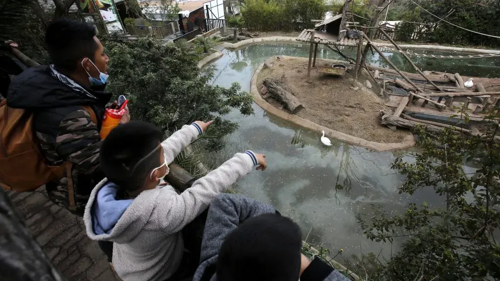Familia visita el Zoológico Metropolitano.