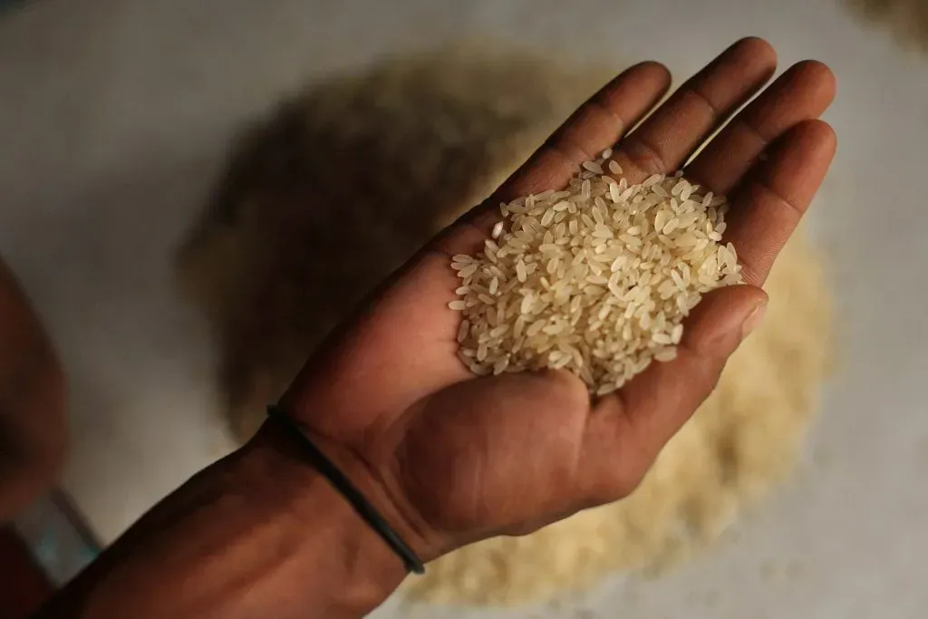 Evita dejar tu iPhone en el arroz