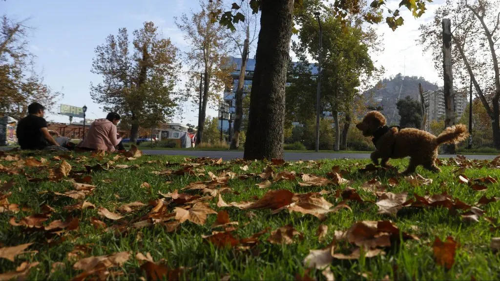 ¿Cuándo llega el otoño?