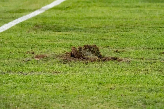 Una de las tantas champas de pasto que dejó ver la cancha del Monumental. (Foto: Guille Salazar | RedGol).