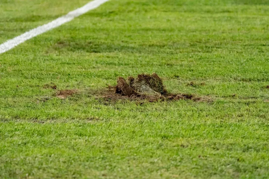 Así de mal está la cancha del Monumental. Foto: Guille Salazar