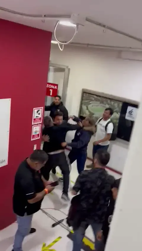 La agresión en contra de Paulina Rivas, coordinadora de San Marcos de Arica. (Captura).