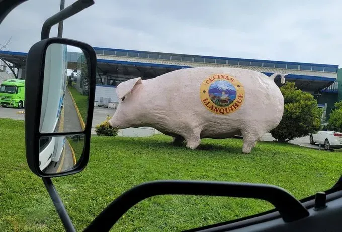 Chancho Lorenzo estuvo hasta hace poco instalado en los estacionamientos de la fábrica de Cecinas Llanquihue. | Foto: Archivo.