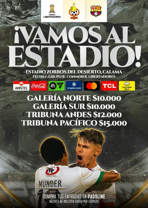 Los precios para ver a Cobresal en la Copa Libertadores 2024.