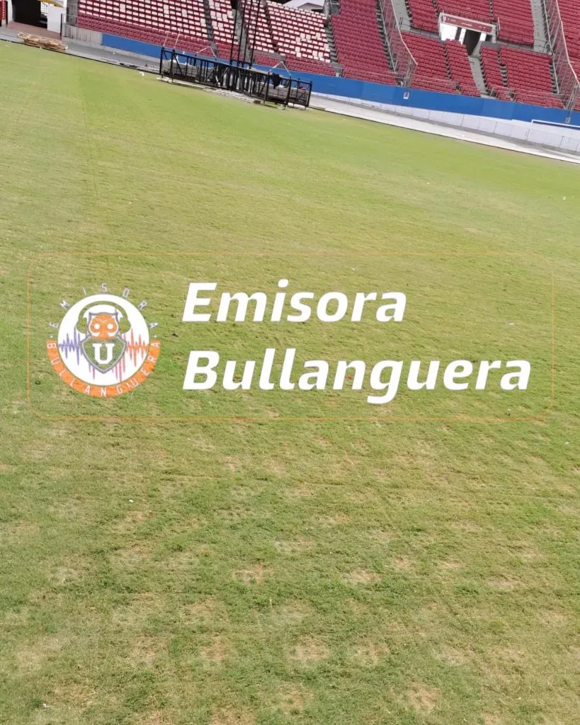 El pasto muestra señales de la carpeta que pusieron encima. Foto: Emisora Bullanguera.