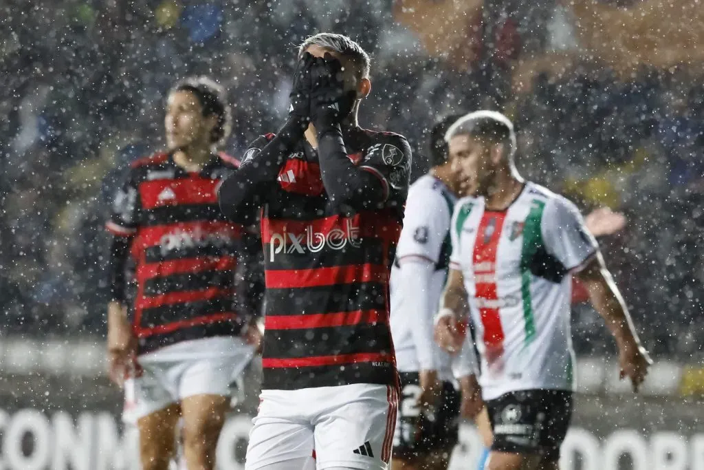 Palestino venció a Flamengo y lo dejo, por ahora, fuera de la Copa Libertadores. Foto: Photosport.
