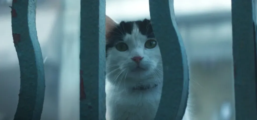 El gatito entre lo mejor de la película.