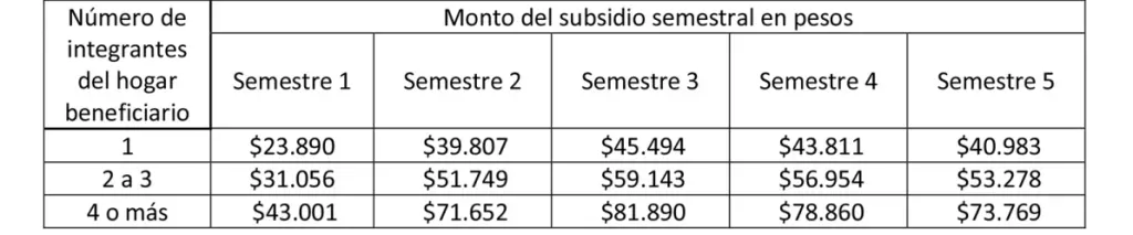 Monto Subsidio Eléctrico