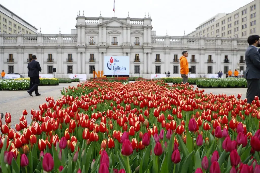Día del Tulipán 2023 en La Moneda