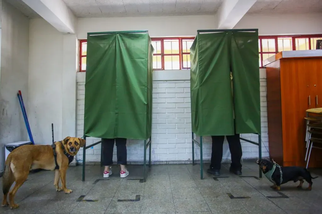Mascotas en las elecciones | Foto: Aton Chile