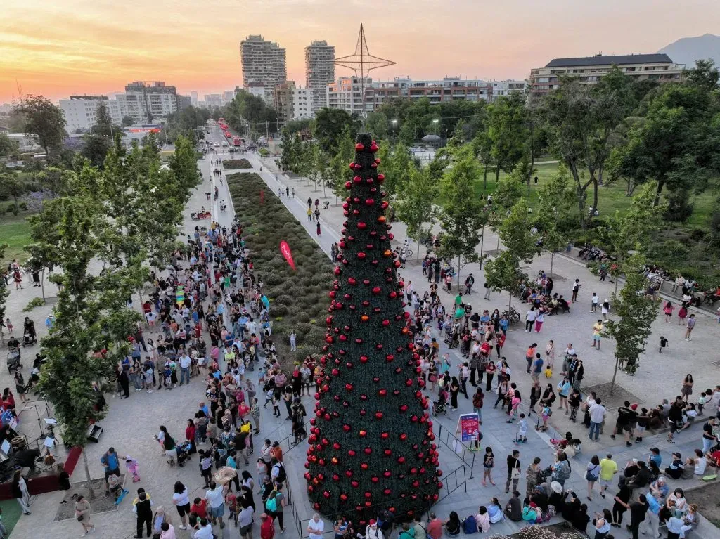 Encendido del árbol de Navidad