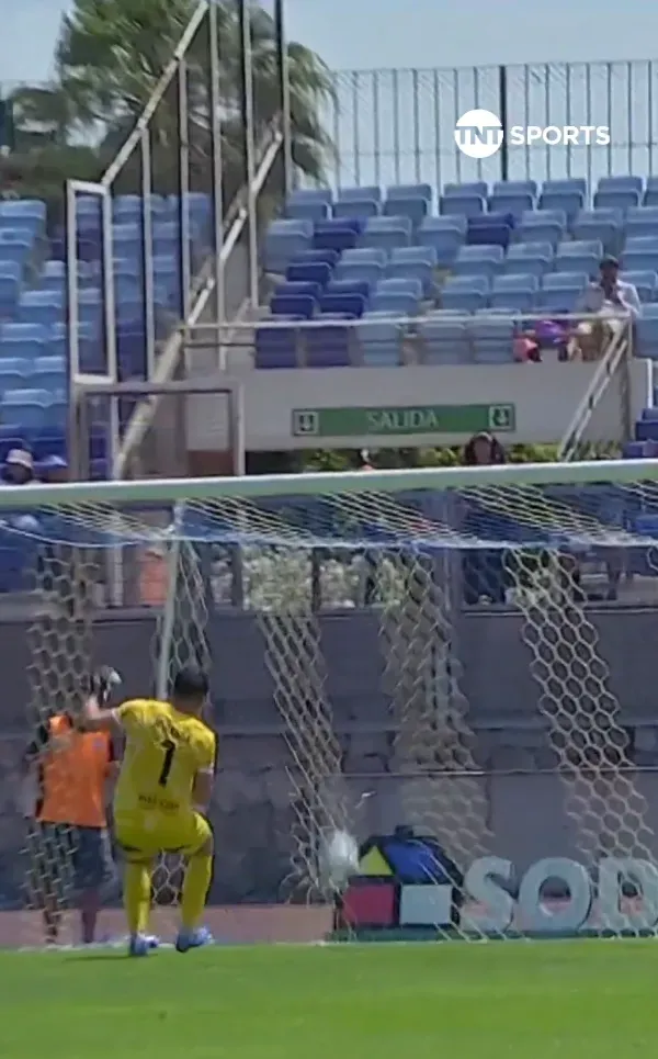 Así quedó Miranda tras el golazo. (TNT Sports).