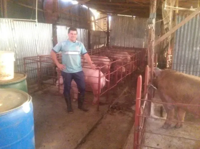 Varela en su granja porcina