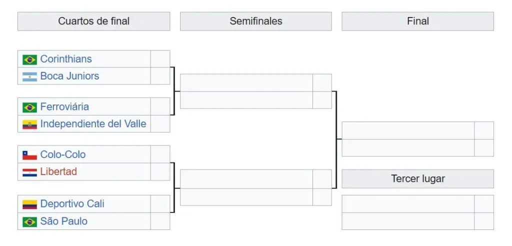 El cuadro de Copa Libertadores