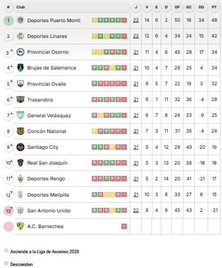 Así quedó San Antonio Unido en la Segunda División Profesional del Fútbol Chileno. | Foto: ANFP.
