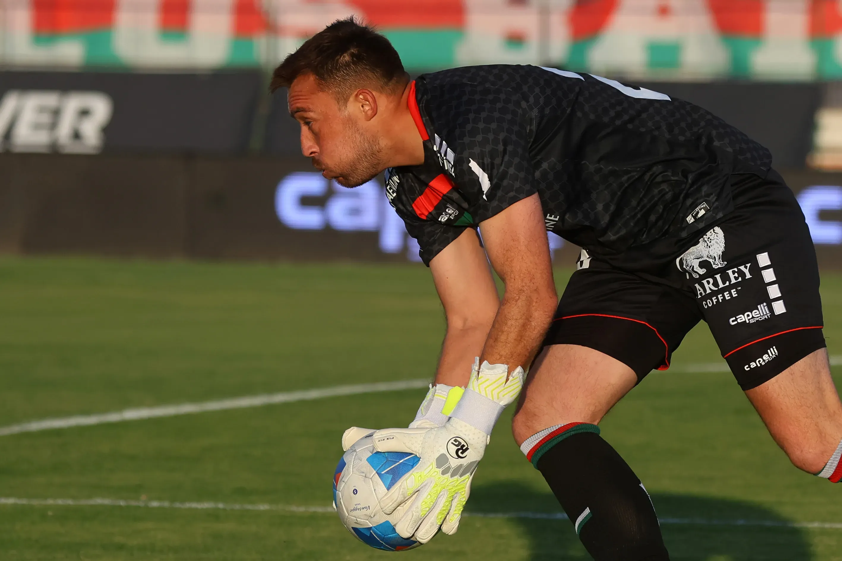 Zanahoria Pérez llegaría a la U de Chile