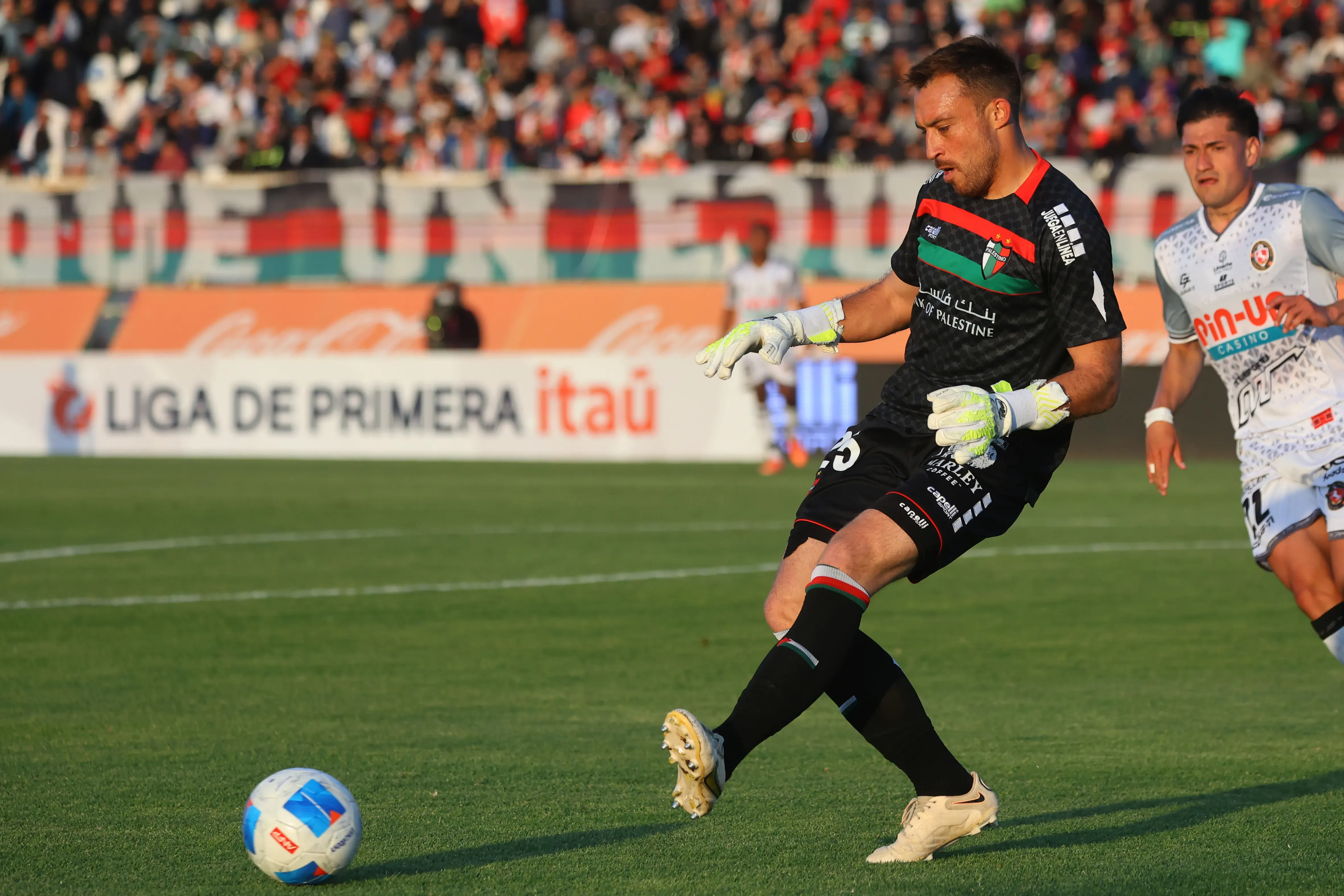 Zanahoria Pérez parece ser el más cercano, aunque tiene contrato hasta fines de 2026 | Photosport