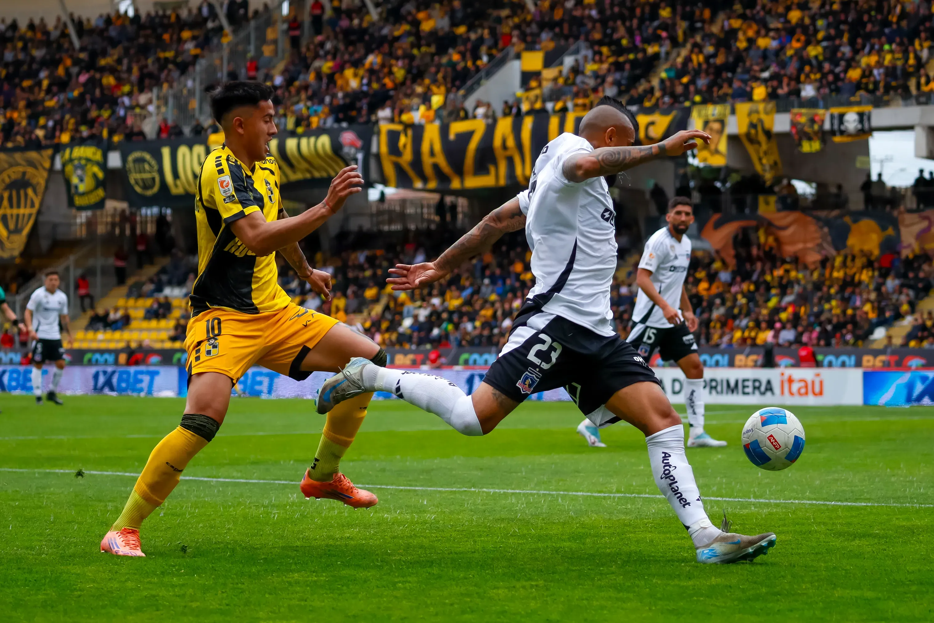 Matías Palavecino busca equipo. Foto: Pepe Alvujar/Photosport