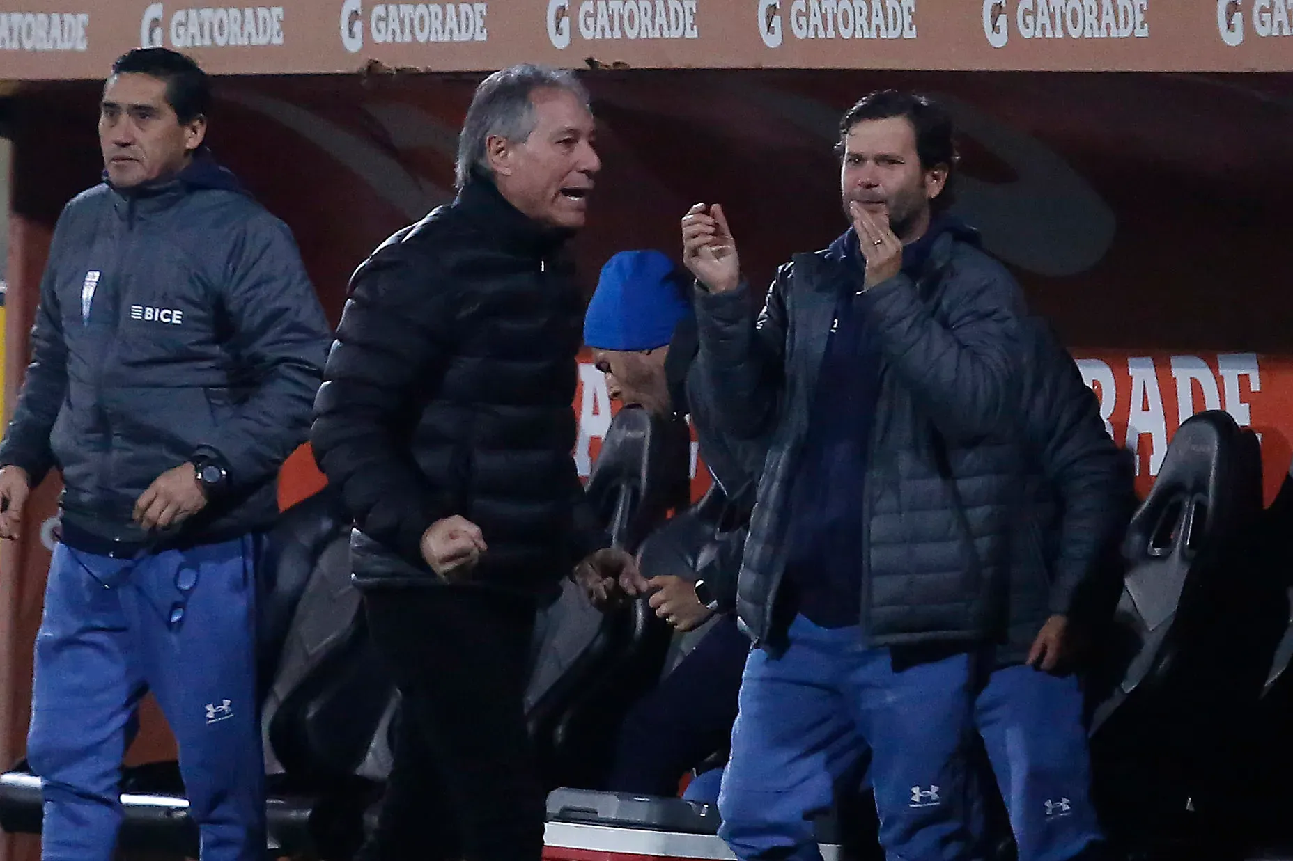 La U recibió malos comentarios de Holan por su último paso en Universidad Católica. Foto: Juan Eduardo Lopez/Photosport