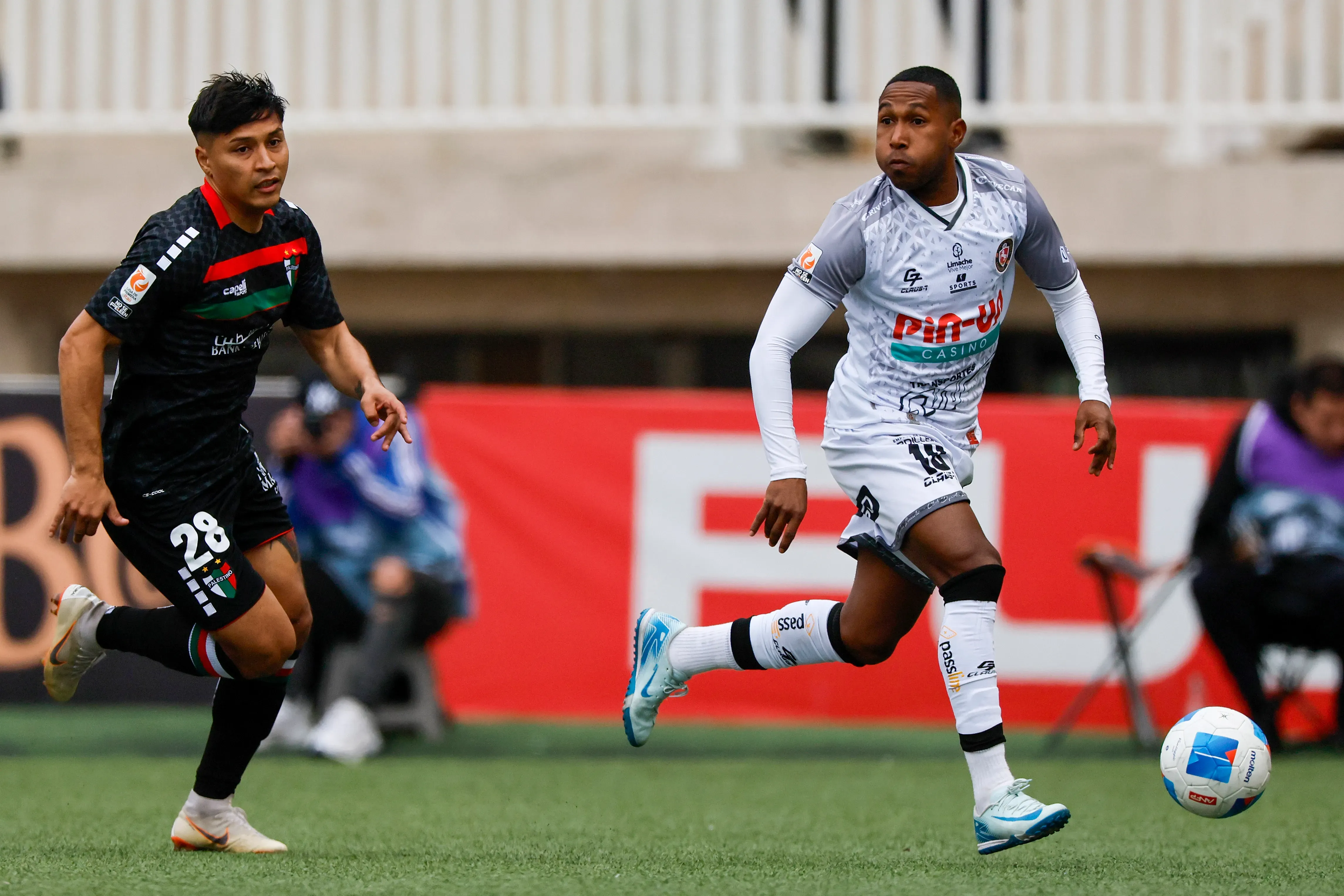 Luis Guerra tiene una oferta para irse a Everton en este mercado de fichajes. | Foto: Photosport.