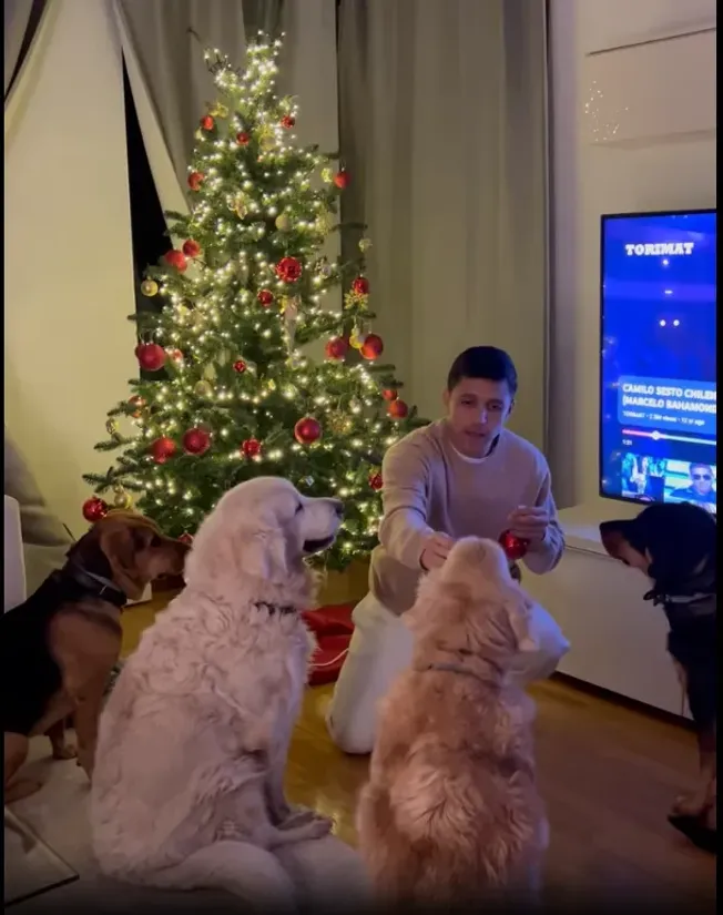 Alexis Sánchez compartió la navidad junto con sus perritos regalons