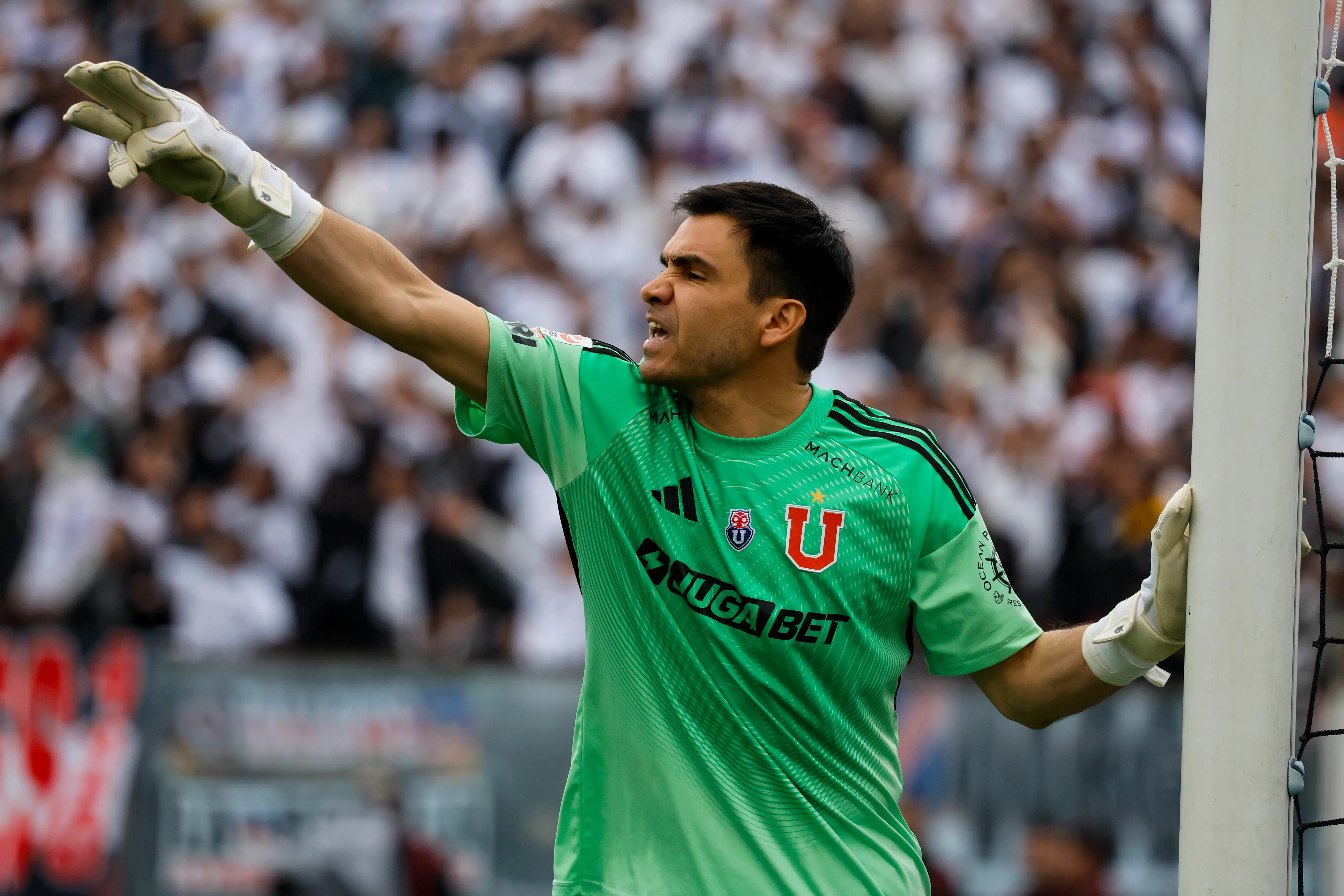 Toselli está desde el 2023 en Universidad de Chile. Imagen: Photosport