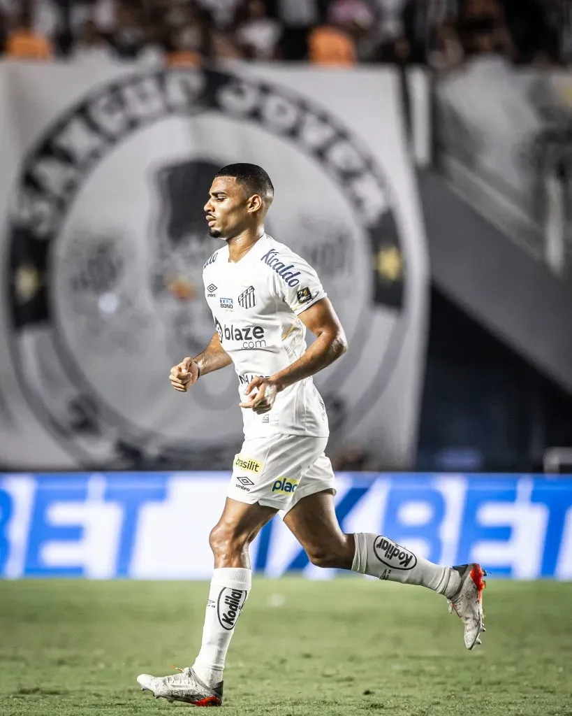 Brasileirão – Santos x São Paulo – Estádio Urbano Caldeira (12/11/2023) – Fotos: Raul Baretta/ Santos FC.